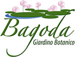 Giardino Bagoda